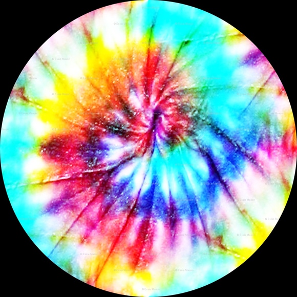 Meet your Posher, Reece - Picture 1 of 1